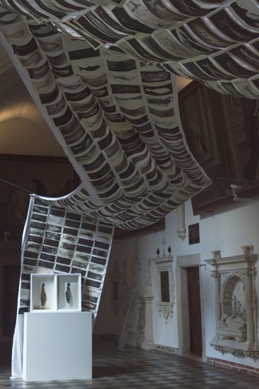 Fish | installation | 2015